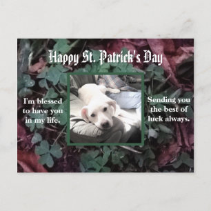 Postal Perro lindo sentado con papá su mejor amigo Green