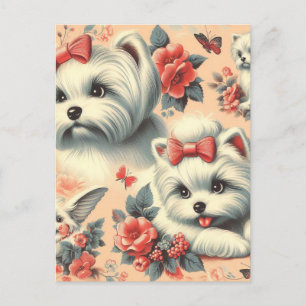 Postal Perro maltés vintage