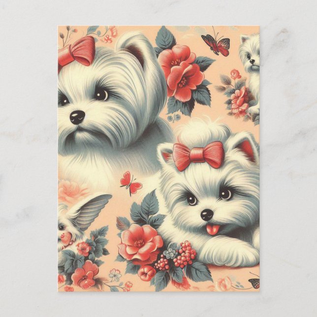 Postal Perro maltés vintage (Anverso)