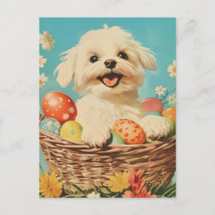 Postal Perro maltés Vintage Easter