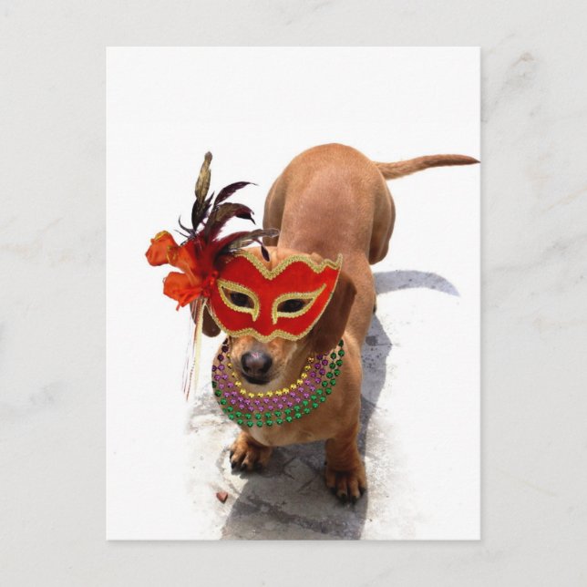 Postal Perro Mardi Gras Dachsund (Anverso)