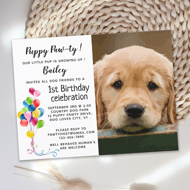 Postal Perro Mascota del partido de los cumpleaños Foto d (Subido por el creador)