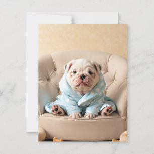 Postal Perro mimado en un alboroto - Perro gracioso