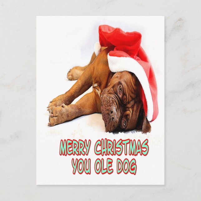 Postal Perro navidad (Anverso)
