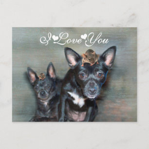 Postal Perro negro chihuahua con el ratón que te amo