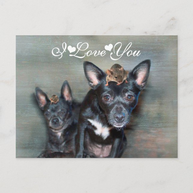 Postal Perro negro chihuahua con el ratón que te amo (Anverso)
