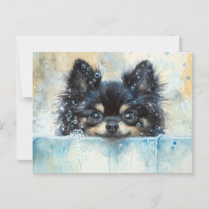 Postal Perro panomerano en la bañera