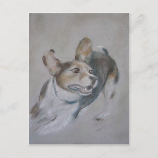 Postal Perro parduino:  En ejecución