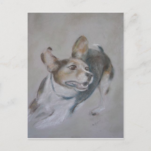 Postal Perro parduino:  En ejecución (Anverso)