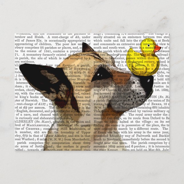 Postal Perro pastor alemán y pato (Anverso)