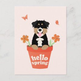 Postal Perro pastor australiano en maceta de flores