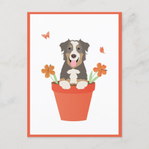 Postal Perro pastor australiano en maceta de flores