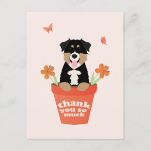 Postal Perro Pastor Australiano En Maceta Gracias