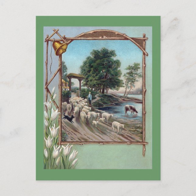 Postal Perro Pastoreo de Ovejas por Camino (Anverso)