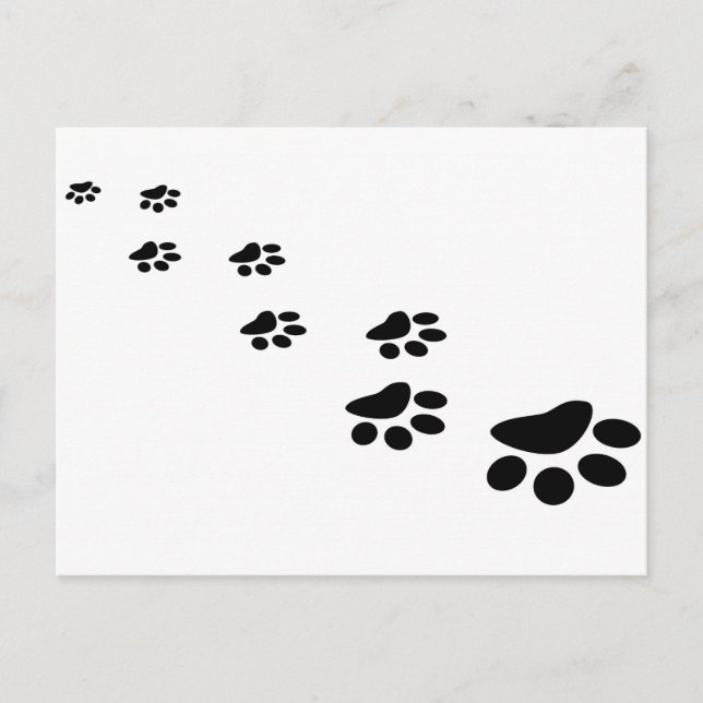 Postal Perro Paw (Anverso)