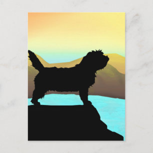 Postal Perro PBGV en el mar