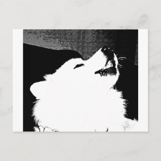 Postal Perro peludo hermoso del blanco del samoyedo