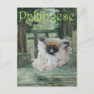 Postal Perro pequinés puerta oriental
