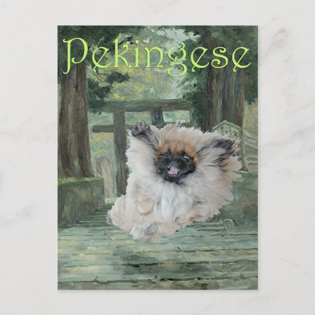 Postal Perro pequinés puerta oriental (Anverso)