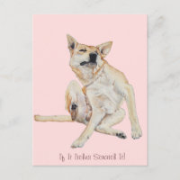 perro picante raspando pintura con eslogan gracios