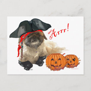 Postal Perro Pirata