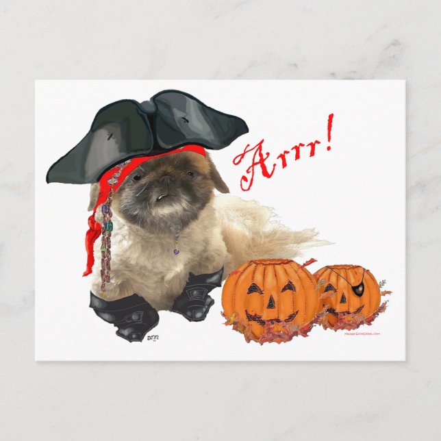 Postal Perro Pirata (Anverso)