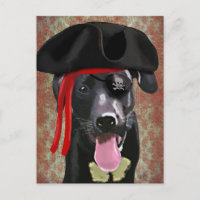 Perro pirata del labrador negro