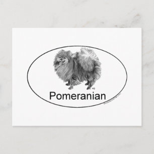 Postal Perro Pomerania Eruo