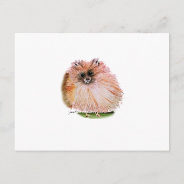 Postal perro pomerano, tony fernandes (Anverso)