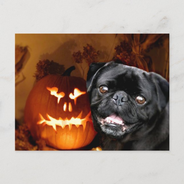 Postal Perro Pug de Halloween (Anverso)