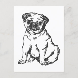 Postal Perro Pug , ilustracion blanco y negro