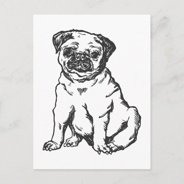 Postal Perro Pug , ilustracion blanco y negro (Anverso)