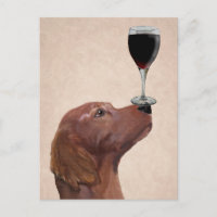 Perro rojo Au Vin 2