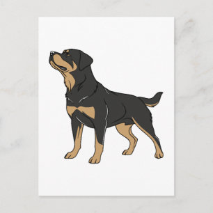 Postal Perro Rottweiler, Perro Rottweiler de pie