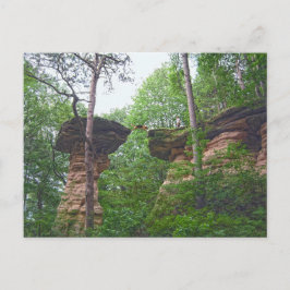 Postal Perro saltando desde Stand Rock en Wisconsin Dells