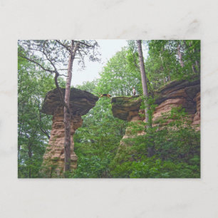Postal Perro saltando desde Stand Rock en Wisconsin Dells