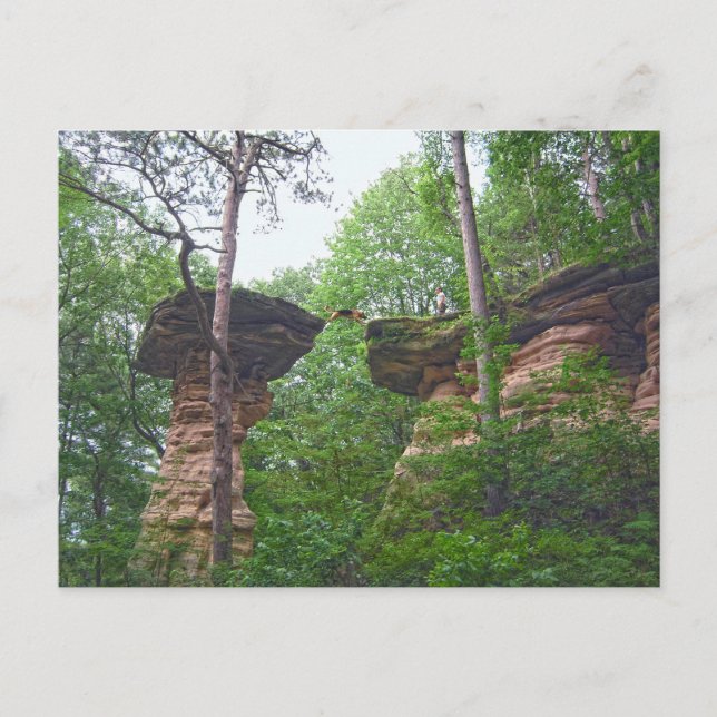 Postal Perro saltando desde Stand Rock en Wisconsin Dells (Anverso)
