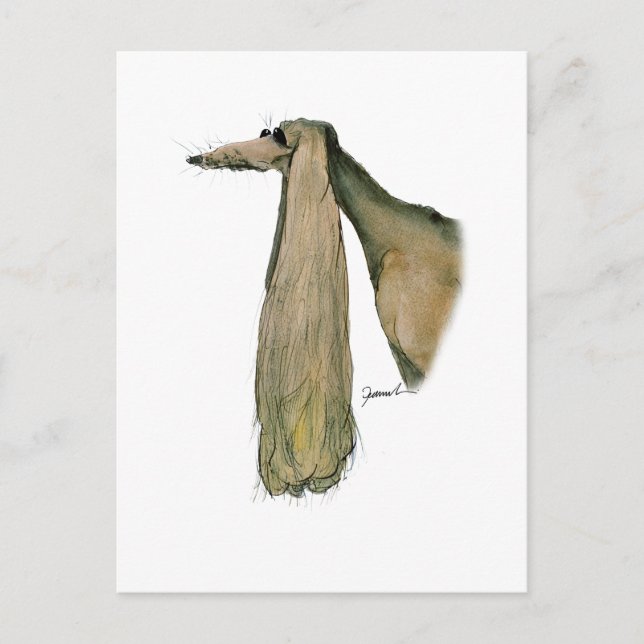 Postal perro saludo, tony fernandes (Anverso)