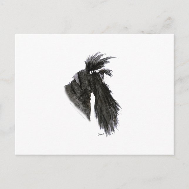 Postal Perro Schnauzer, tony fernandes (Anverso)