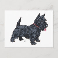 Perro Scottie descarado