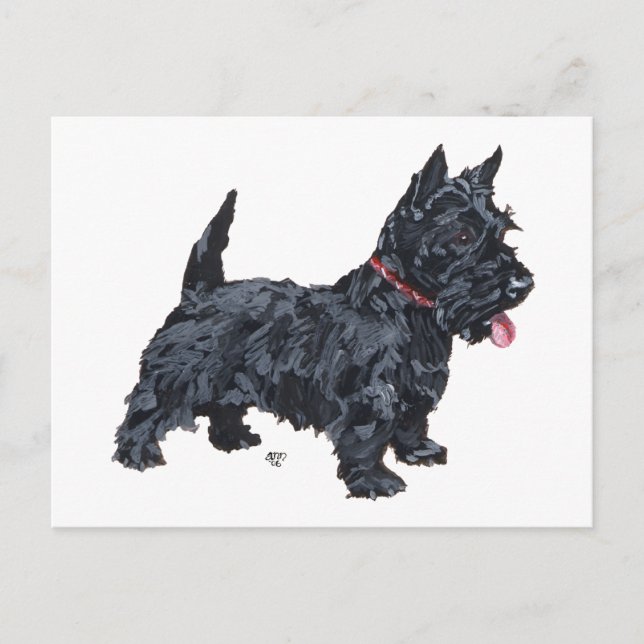 Postal Perro Scottie descarado (Anverso)