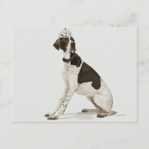 Postal Perro sentado con una tiara en la cabeza