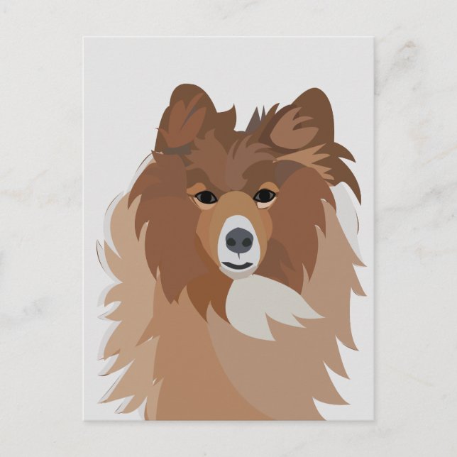 Postal Perro Sheltie (Anverso)