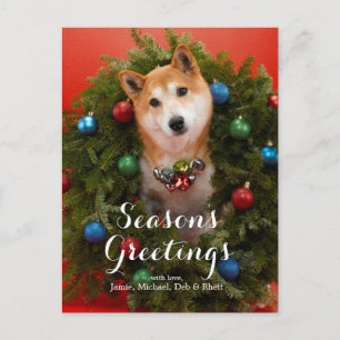 Postal Perro Shiba Inu