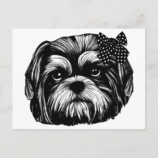 Postal Perro Shih Tzu con el arco de un punto polka (Anverso)