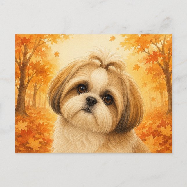 Postal Perro Shih Tzu Otoño Bosque (Anverso)
