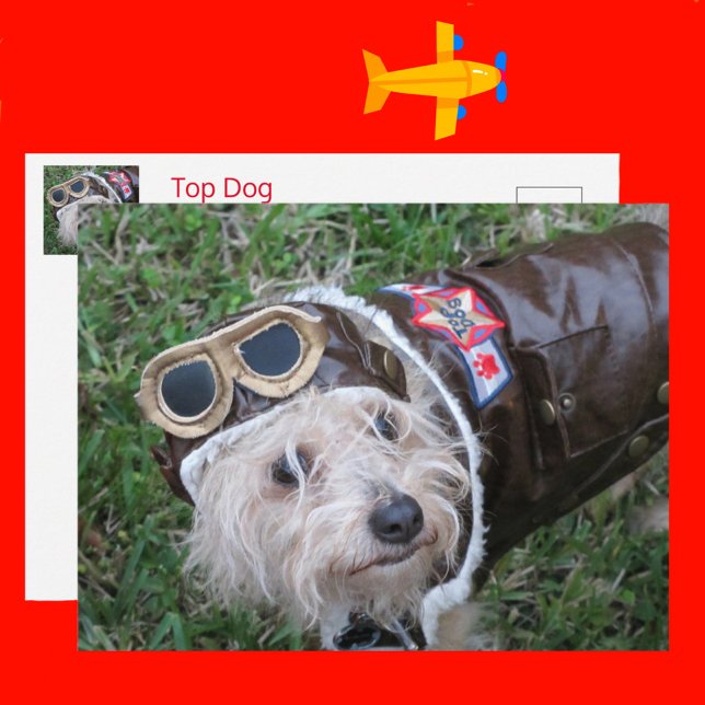 Postal Perro superior en el equipo del Aviador (Subido por el creador)