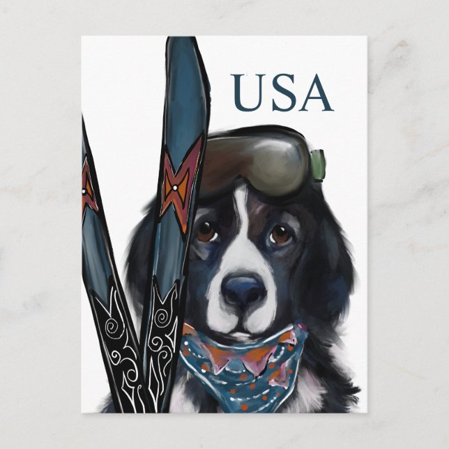 POSTAL PERRO TERRA NOVA  (Anverso)