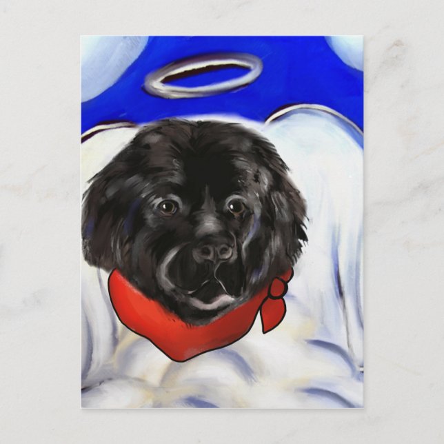 Postal Perro Terranova (Anverso)