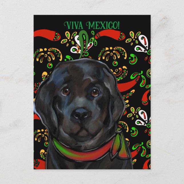 Postal Perro Terranova   (Anverso)